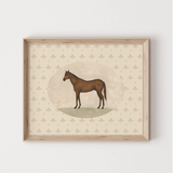 Illustration Cheval Vintage