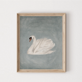 Illustration Cygne