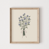 Illustration Fleurs Gonphrena