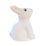 Tirelire (banque) - Lapin