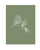 La femme forêt Affiche - 8 X 10 - Cocotte