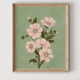 Illustration Fleurs sauvages